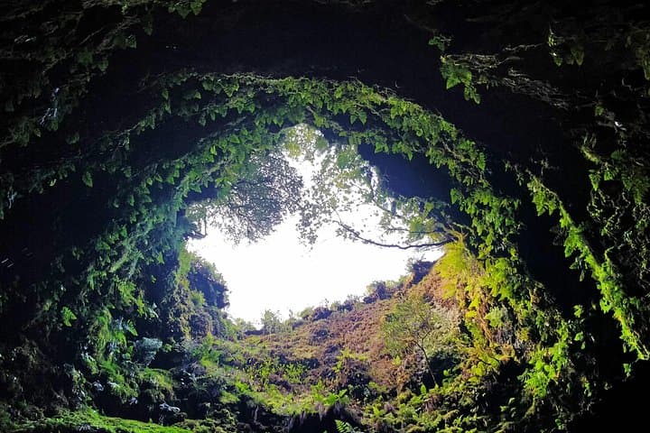 Île de Terceira: excursion d'une journée