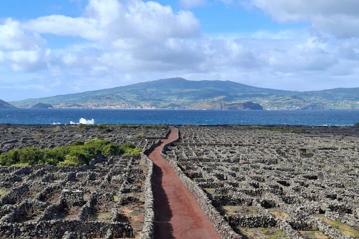 Points forts de l'île de Pico - Visite privée (+ dégustation de vin en option)